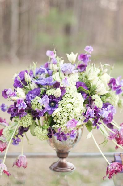 purple anemones
